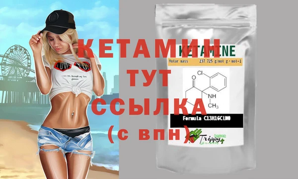 мет Новозыбков