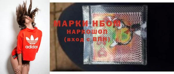 амф Новодвинск