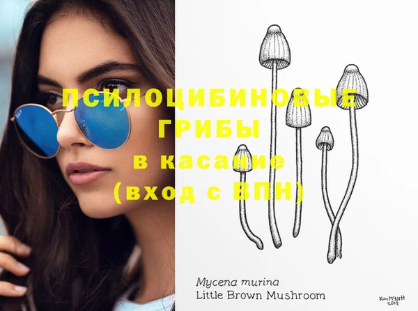 амф Новодвинск