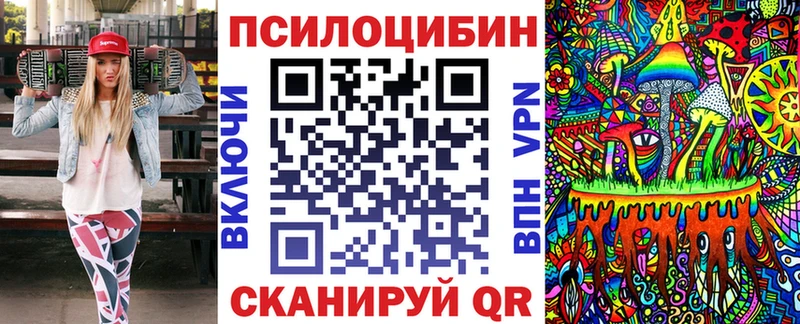 где найти   Алейск  hydra онион  Галлюциногенные грибы Psilocybe 